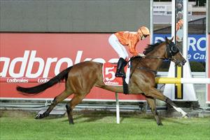 Riverina Cyclone & Ethan Brown, Cranbourne Jan 2023